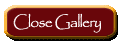 close gallery button